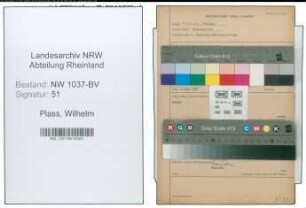 Entnazifizierung Wilhelm Plass , geb. 00.00.0000 (Maler)