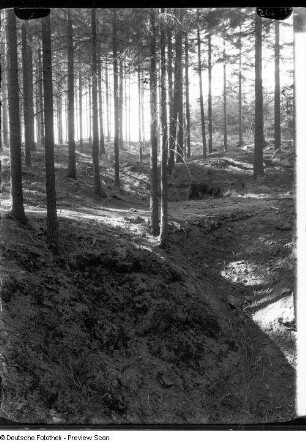 Bingenzug, Sachsenhöhe bei Bärenstein