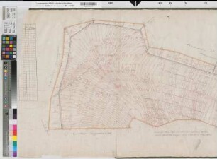Mesum (Rheine), Rheine l.d.Ems (Rheine), Teilung des Weißen Venns, Brouillonkarte (Moorparzellen)