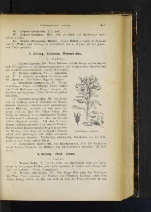 2. Gattung. Alpenrose. Rhododendron.