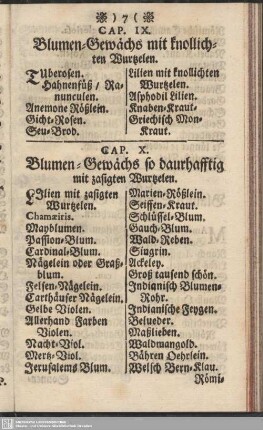 Cap. IX. Blumen-Gewächs mit knollichten Wurtzelen
