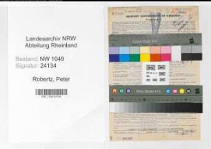 Entnazifizierung Peter Robertz , geb. 03.02.1909 (Kaufmann)