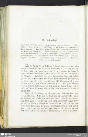 IX. Die Kohlenlager