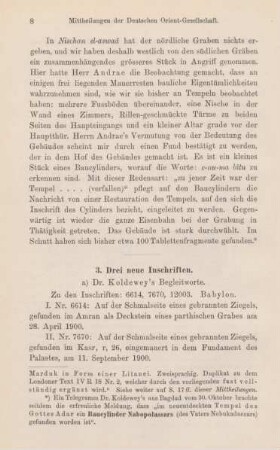 3.1 Dr. Koldewey's Begleitworte