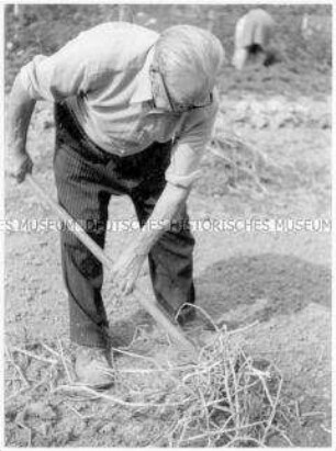 Alter Mann bei der Gartenarbeit (Altersgruppe 18-21)