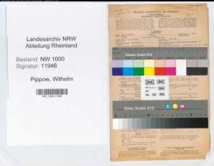 Entnazifizierung Wilhelm Pippow, geb. 20.09.1881 (Finanzbeamter)