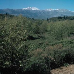 Kreta. Der Pachnes-Gipfel, 2452m, der Levká Ori über Neochorion
