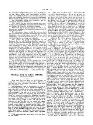 Streifzüge durch die moderne Litteratur : III.