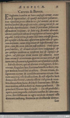 Cervus & Boves