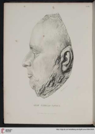 Tafel III: Graf Camillo Cavour *)