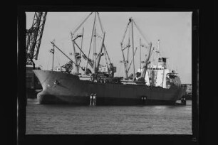 Bärenfels (1976), Frachtschiff, D.D.G. "Hansa", Bau-Nr. 613