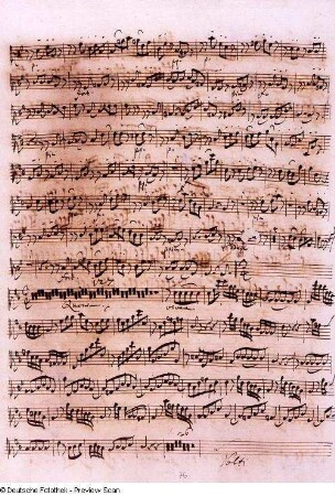 Stimmensatz: Qui sedes (T. 23-86.), Cum Sancto Spiritu (T. 1-63), Viola