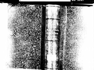 Buchenbach FR; Katholische Gemeinde: Standesbuch 1828-1838