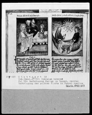 Zwei Schriften — Speculum humanae salvationis — Textseite mit zwei Miniaturen, Folio 55verso