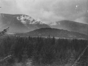 Berglandschaft : Blick auf Waldflächen an Berghängen und im Tal
