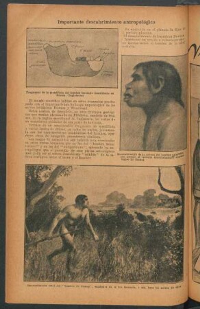 Importante descubrimiento antropológico