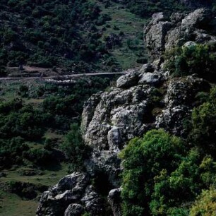 Lesbos. Felsstürze und Schafpferch am Korakas bei Sykaminea