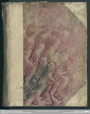 Dissertatio Theologica De Imperfecta Viae Perfectione, Pelagianis, Pontificiis, Weigelianis, Syncretistis, Böhmistis & Quietistis in specie opposita