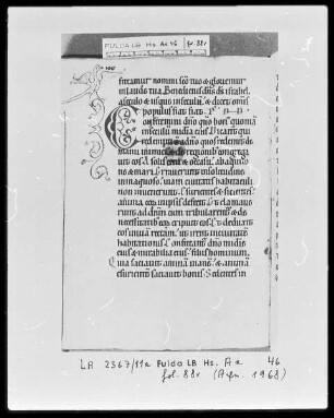 Psalterium cum Canticis — Initiale C mit Vogel, Folio 88verso