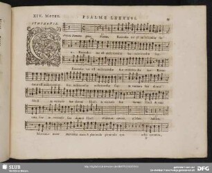 XIV. Cantate Domino canticum novum