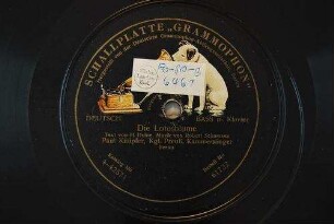 Die Lotosblume / Text von H. Heine. Musik von Robert Schumann