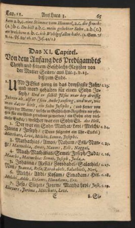 Das XI. Capitel - XX. Capitel.