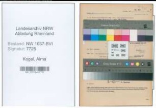 Entnazifizierung Alma Kogel , geb. 13.02.1900 (Amtmann)