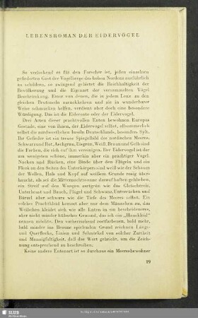 Lebensroman Der Eidervögel