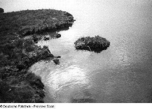 Uferlandschaft
