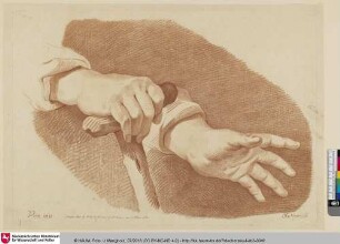 [Handstudie mit Gehstock]