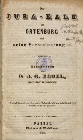 Der Jura-Kalk bei Ortenburg und seine Versteinerungen