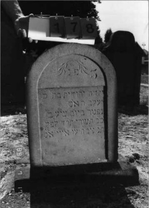 Grabstein 178 (Index: 99797604) Material: Sandstein, weiß Zustand: leicht verwittert Maße HxBxT: 66x49x7 cm Beschreibung: Stele, Rundbogenabschluß, Sockel Symbolik: gesenkte Palmzweige: Grabstein 178