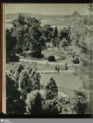 Das Rosarium Sangerhausen. Im Hintergrund der Thomas-Müntzer-Schacht