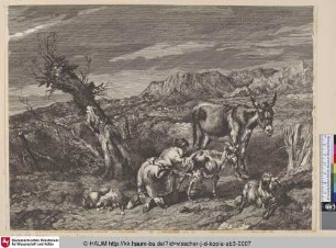 [Die Ziegenmelkerin; Girl milking goats]