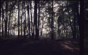 Berlin, Park Klein-Glienicke