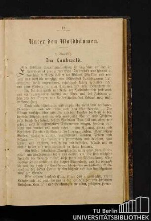 Unter den Waldbäumen.