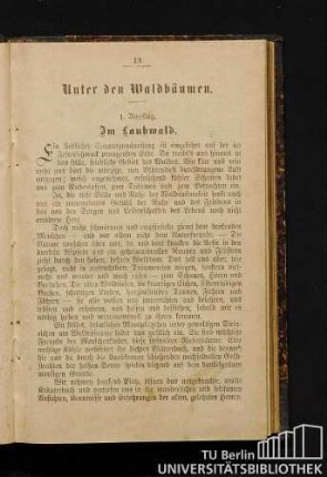 Unter den Waldbäumen.