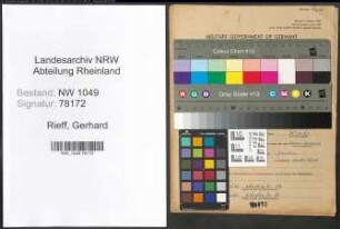 Entnazifizierung Gerhard Rieff , geb. 07.04.1920 (Diplomkaufmann)