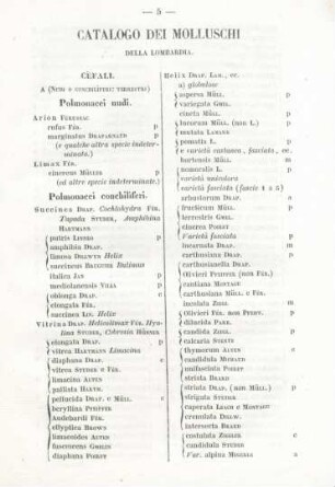 Catalogo dei Molluschi