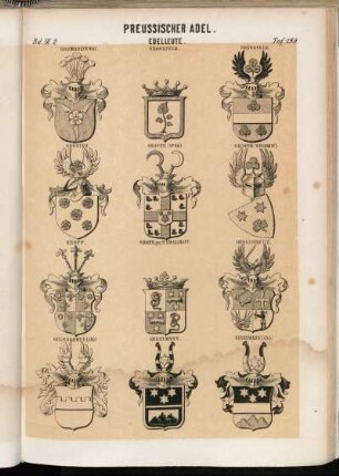 Taf. 199. Gromadzinski. - Gronefeld. - Gröneveld. - Gröning. - Groote (1780). - Groote (Stammw.). - Gropp. - Gross gen. Schwarzhoff. - Grosskreuz. - Grosskruz (And.). - Grossmann. - Grossmann (And.)