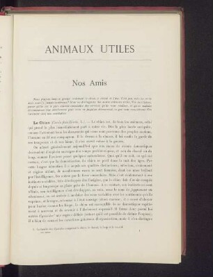 Nos Amis