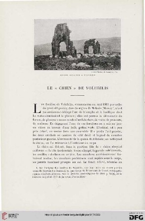 4. Pér. 13.1917: Le "chien" de Volubilis