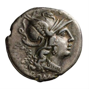 Münze, Denar, 136 v. Chr.