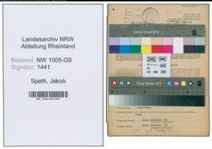 Entnazifizierung Jakob Speth , geb. 20.04.1878 (Stukkateur)