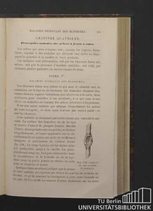 Chapitre quatrième. Principales maladies des arbres à fruits à cidre.