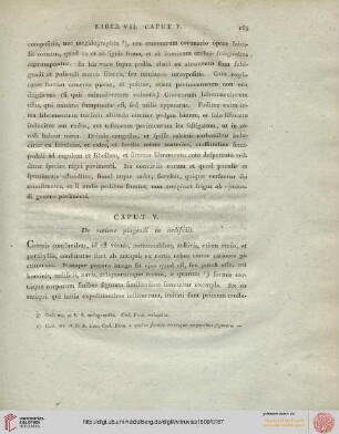 Caput V: De ratione pingendi in aedificiis