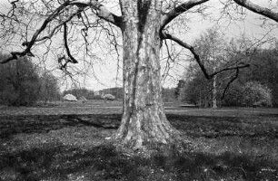 Görlsdorf : In Görlsdorf, im Schlossepark (Lenné)