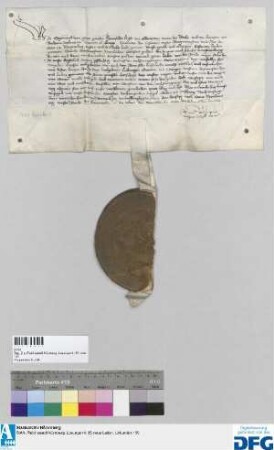 Kaiser Sigismund befiehlt der Stadt Nürnberg, seinem Rat und Hofmeister Ludwig Grafen zcu Otingen 1000 fl. von der jährlichen Reichssteuer auszubezahlen.