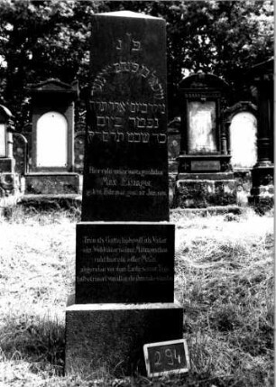 Grabstein 294 [Nir S. 193 Nr. 17.17]
