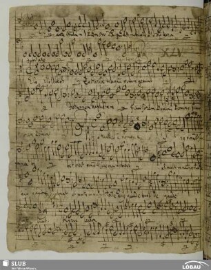 XLVI. Grimm, Heinrich: Missa super Dilectus meus mihi
